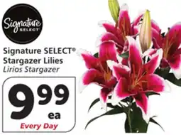 Albertsons Signature SELECT Stargazer Lilies offer