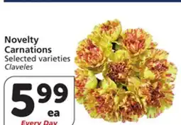 Vons Novelty Carnations offer