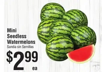 Smart & Final Mini Seedless Watermelons offer