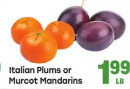 Tony’s Fresh Market Italian Plums or Murcot Mandarins offer