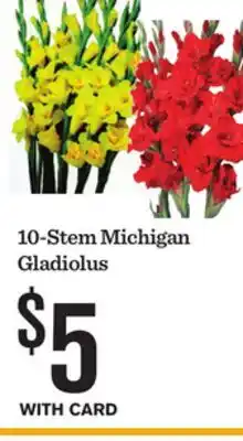 Mariano's 10-Stem Michigan Gladiolus offer