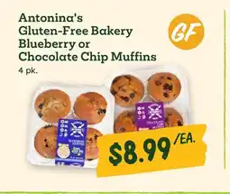 Sprouts Farmers Market Antonina's Gluten-Free Bakery Blueberry or Chocolate Chip Muffins 4 pk offer