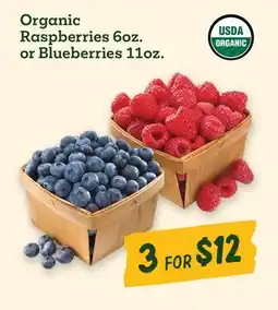 Sprouts Farmers Market Organic Raspberries 6oz. or Blueberries 11oz offer