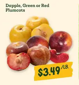 Sprouts Farmers Market Dapple, Green or Red Plumcots offer