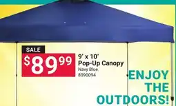 Ace Hardware 9' x 10' Pop-Up Canopy offer