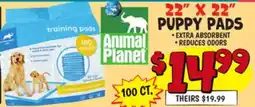 Ollie's 22 X 22 PUPPY PADS offer