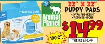 Ollie's 22 X 22 PUPPY PADS offer