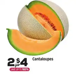 Grocery Outlet Cantaloupes offer