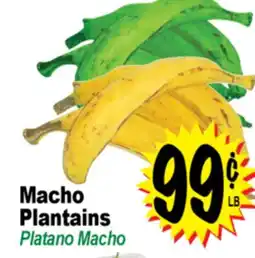 Superior Grocers Macho Plantains offer