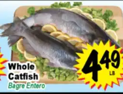 Superior Grocers Whole Catfish offer