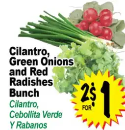 Superior Grocers Cilantro, Green Onions and Red Radishes Bunch offer