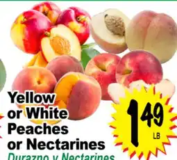 Superior Grocers Peaches or Nectarines or Nectarines offer