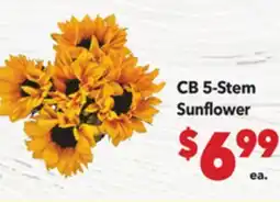 Vallarta Supermarkets CB 5-Stem Sunflower offer