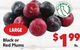Vallarta Supermarkets Black or Red Plums offer