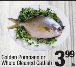 Super King Markets Golden Pompano or Whole Cleaned Catfish offer