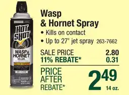 Menards Wasp & Hornet Spray offer