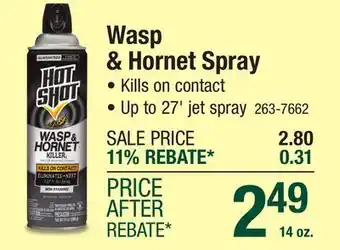 Menards Wasp & Hornet Spray offer