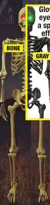 Menards 5' Posable Skeleton offer