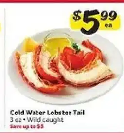 Winn Dixie Cold Water Lobster Tail offer