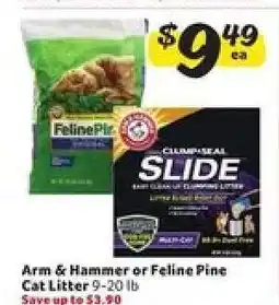 Winn Dixie Arm & Hammer or Feline Pine Cat Litter offer