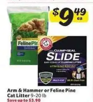 Winn Dixie Arm & Hammer or Feline Pine Cat Litter offer