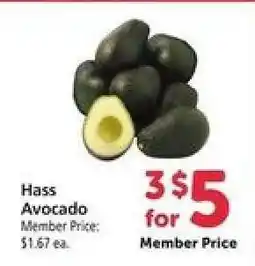 Safeway Hass Avocado offer