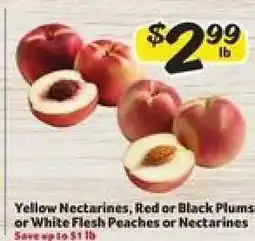 Winn Dixie Yellow Nectarines, Red or Black Plums or White Flesh Peaches or Nectarines offer