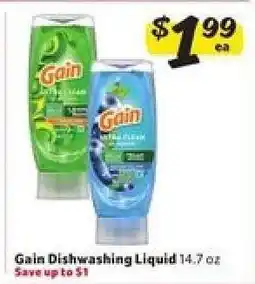 Winn Dixie Gain Dishwashing Liquid offer