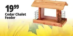 Ocean State Job Lot Cedar Chalet Feeder offer