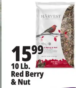 Ocean State Job Lot 10. Lb. Red Berry & Nut offer