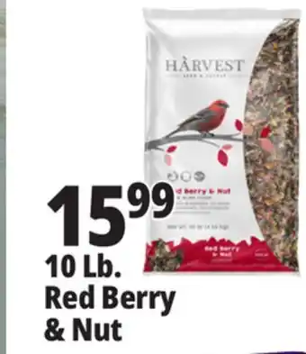 Ocean State Job Lot 10. Lb. Red Berry & Nut offer
