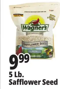 Ocean State Job Lot Wagner's Safflower Seed Deluxe Wild Bird Food offer