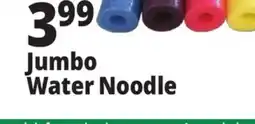 Ocean State Job Lot 55 Jumbo Pool Noodle offer