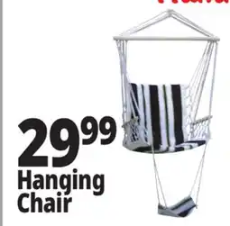 Ocean State Job Lot Hanging Chair offer