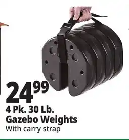 Ocean State Job Lot 4 Pk. 30 Lb. Gazebo Weights offer