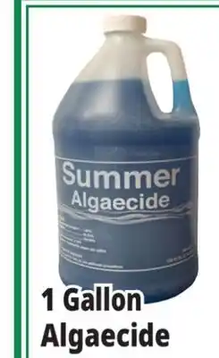 Ocean State Job Lot Summer Algaecide 1 Gal offer