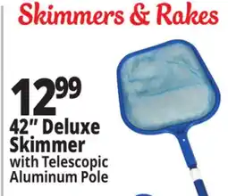 Ocean State Job Lot SwimWorks Leaf Skimmer with Telescopic Pole offer