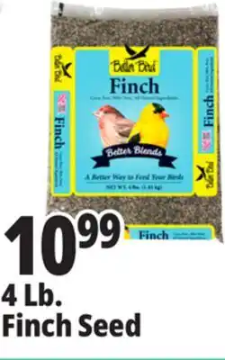 Ocean State Job Lot Better Bird Finch Bird Food 4 lbs offer