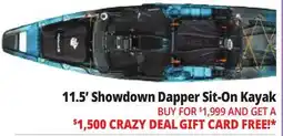 Ocean State Job Lot Perception Showdown 11.5 Fishing Pedal Kayak Dapper offer
