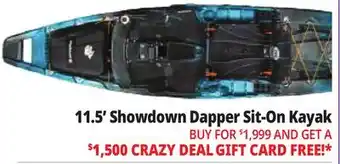 Ocean State Job Lot Perception Showdown 11.5 Fishing Pedal Kayak Dapper offer