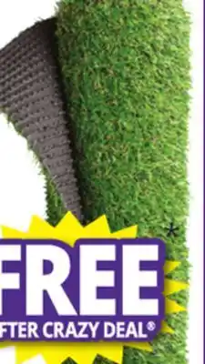 Ocean State Job Lot Super Plush Artificial Grass Rug 6' x 8' offer