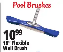 Ocean State Job Lot SwimWorks Flexible Wall Brush offer