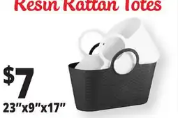Ocean State Job Lot Resin Rattan Totes offer