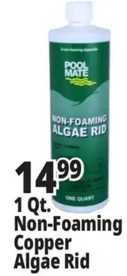 Ocean State Job Lot Pool Mate Non-Foaming Algae Rid 1 Qt offer