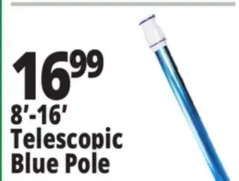 Ocean State Job Lot SwimWorks Telescopic Aluminum Pole offer