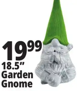 Ocean State Job Lot 18.5 Garden Gnome offer