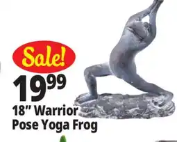 Ocean State Job Lot 18 Warrior Pose Yoga Frog offer