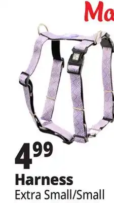 Ocean State Job Lot Max & Molly Harness offer