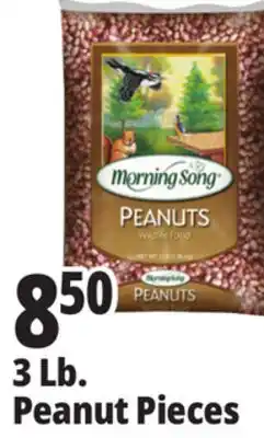 Ocean State Job Lot 3 Lb. Peanut Pieces offer