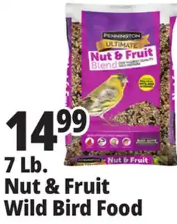 Ocean State Job Lot Pennington Ultimate Nut & Fruit Blend Wild Bird Seed 7 lbs offer